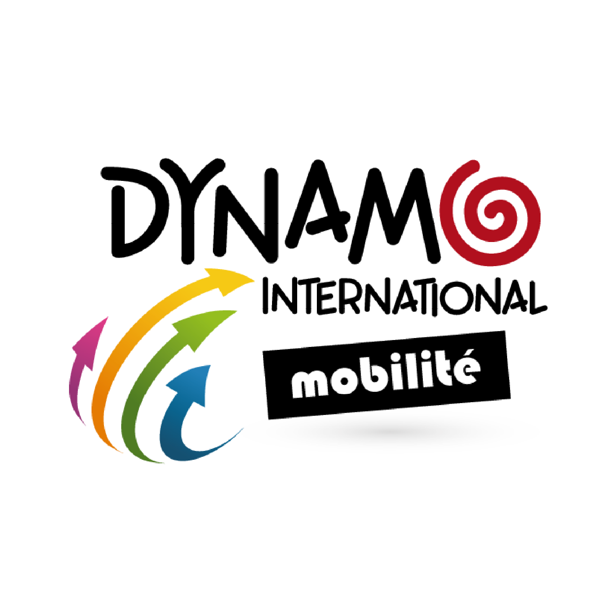 LOGO - Dynamo-International-mobilite-carre.png