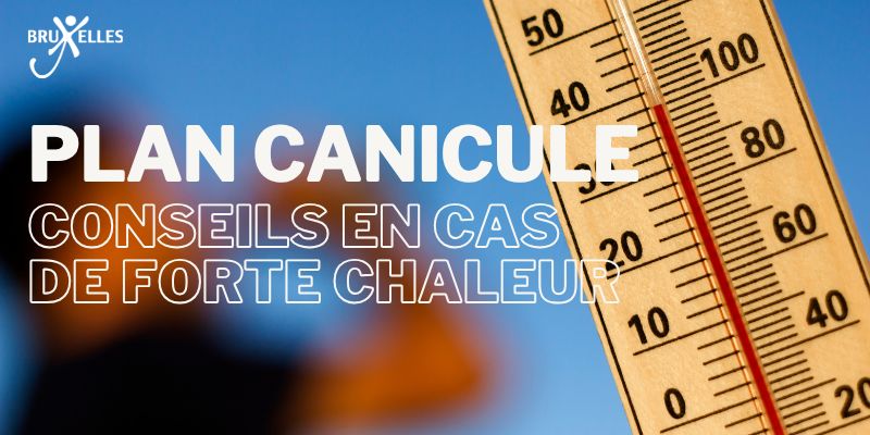Stages Jeunes à l'Armée belge, Activation du plan canicule par la ville de Bruxelles : qu&rsquo;est ce que c&rsquo;est?