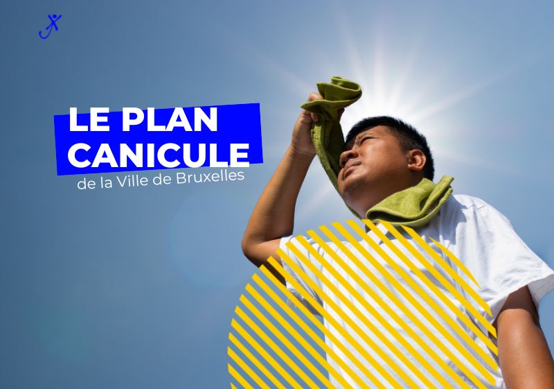 canicule bruxelles, Le plan canicule est activé par la ville de Bruxelles