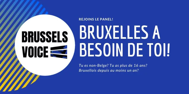 participer à la politique régionale à Bruxelles pour les bruxellois internationaux, La région bruxelloise invite les bruxellois internationaux à faire entendre leur voix!