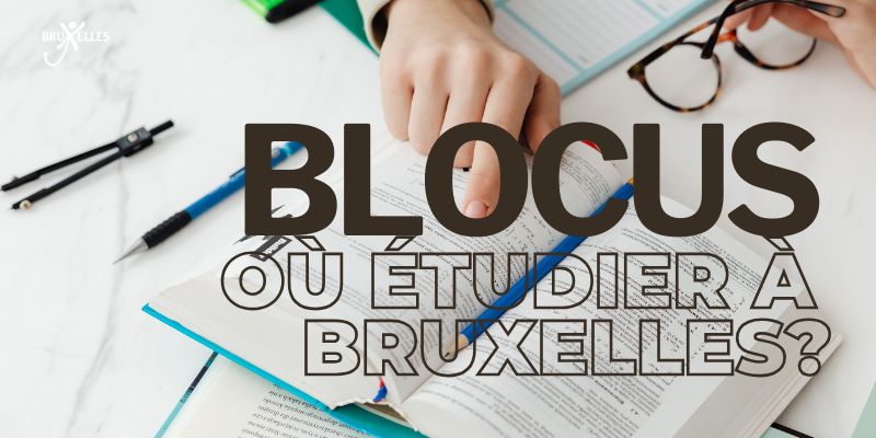 renard malade à Bruxelles, Où étudier pour préparer ses examens à Bruxelles
